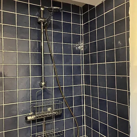 Le Duo De La Foret - F1 * Sahurs